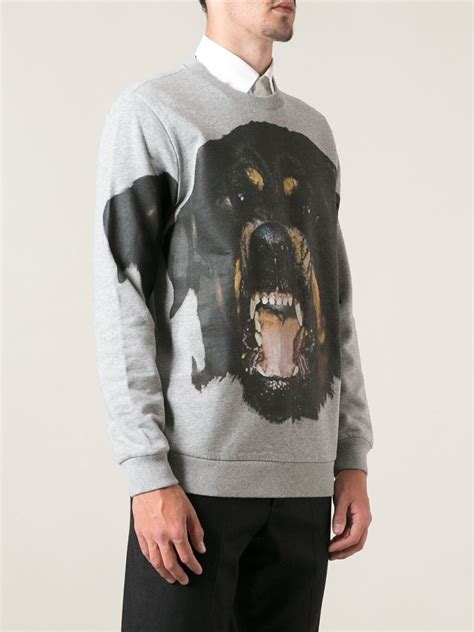 givenchy rottweiler sweatshirt style|Givenchy rottweiler shirt price.